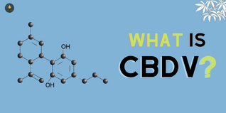What Is CBDV?